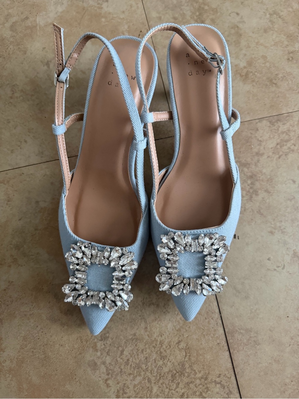 Target Light Blue Embellished Pointed-Toe Slingbacks